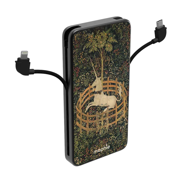 mophie-gallery-edition-powerstation-plus-10k-batterie-externe-10000mah-dutch-got image 1