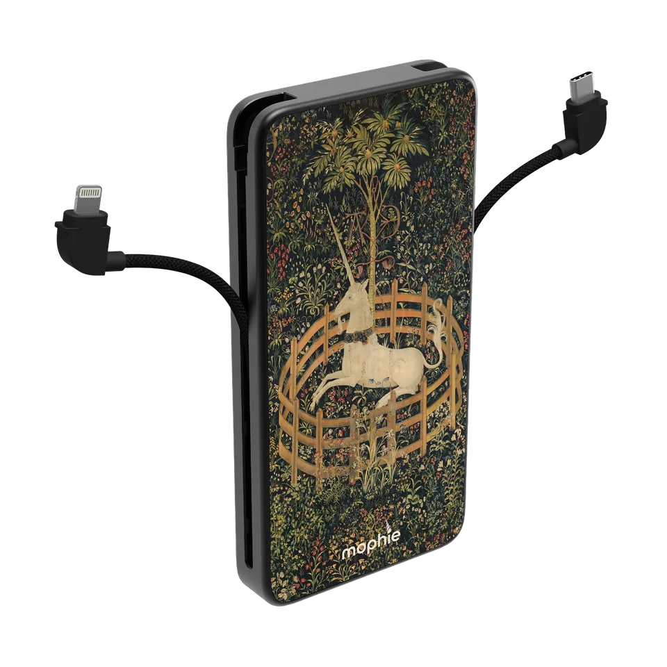 mophie-gallery-edition-powerstation-plus-10k-batterie-externe-10000mah-dutch-got image 1
