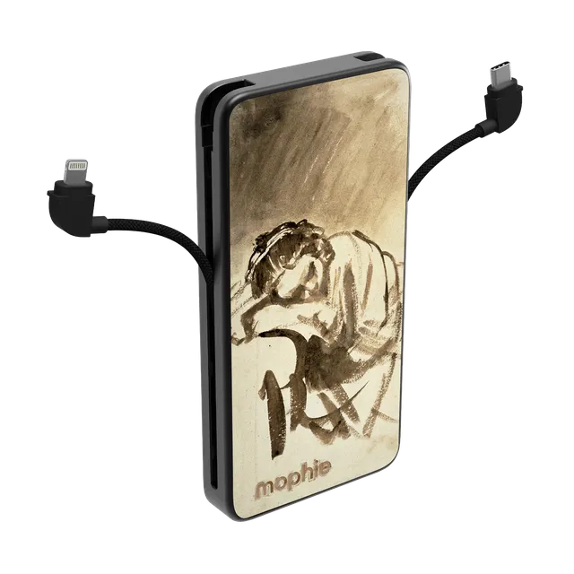 mophie-gallery-edition-powerstation-plus-10k-rembrandt-power-bank-10-000-mah-ave image 1