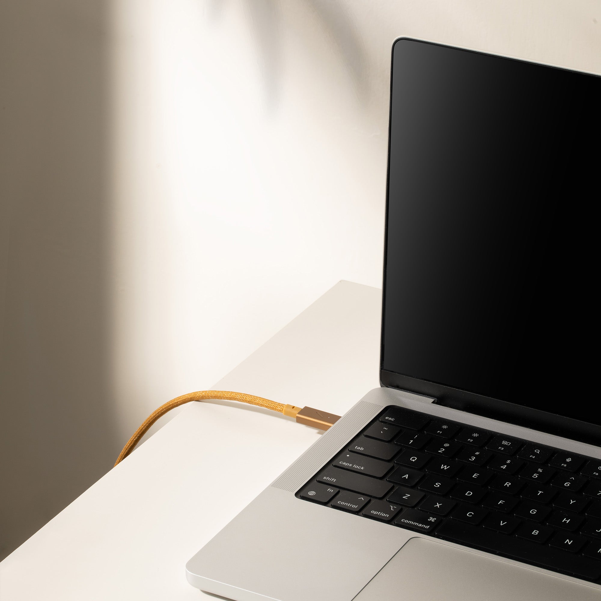 native-union-belt-cable-pro-240w-c-ble-usb-c-vers-usb-c-power-delivery-3-1-240-w image 7